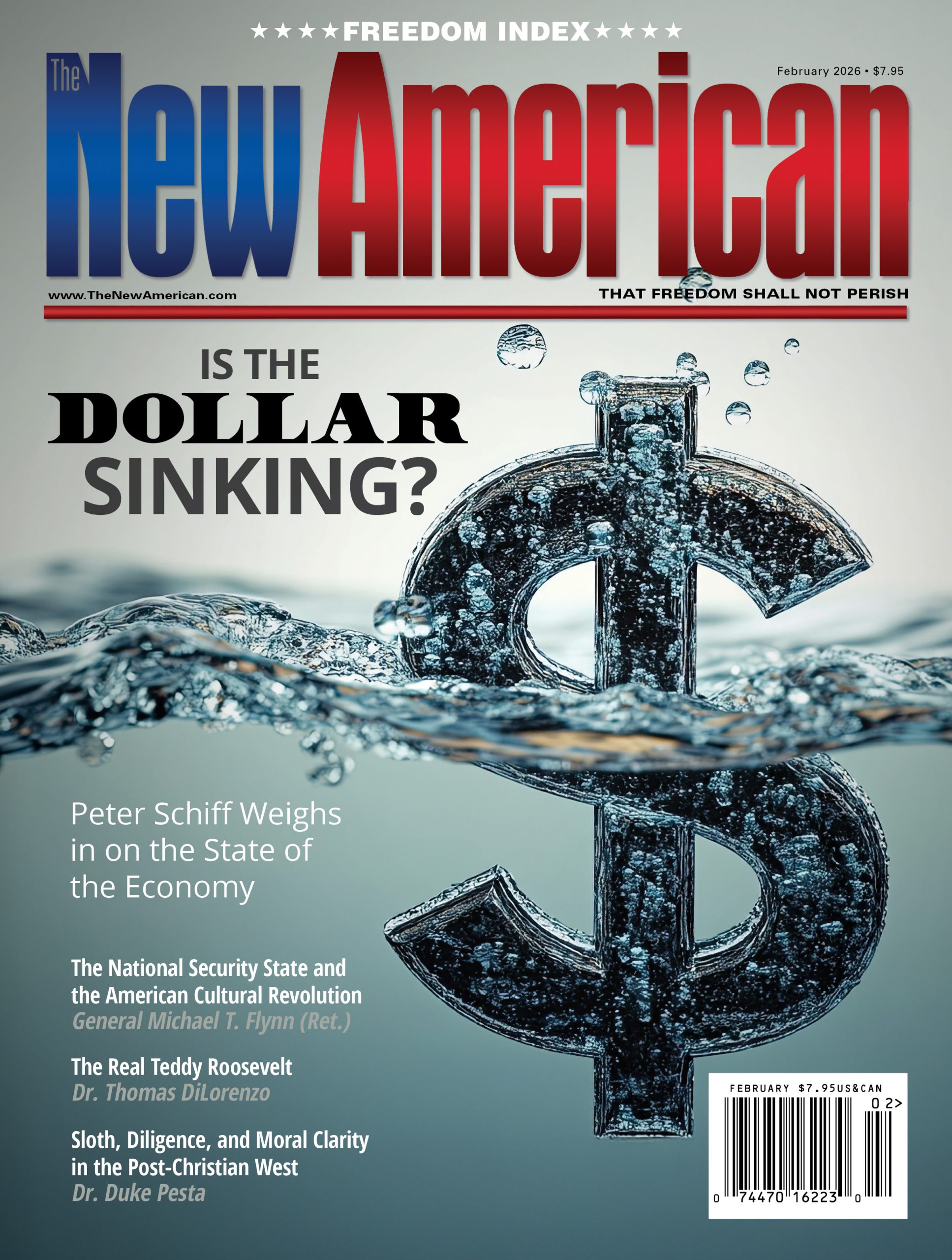 Is the Dollar Sinking?