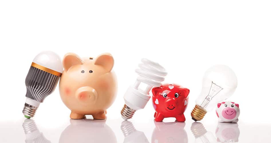 Shedding Light on the Global Green Agenda
