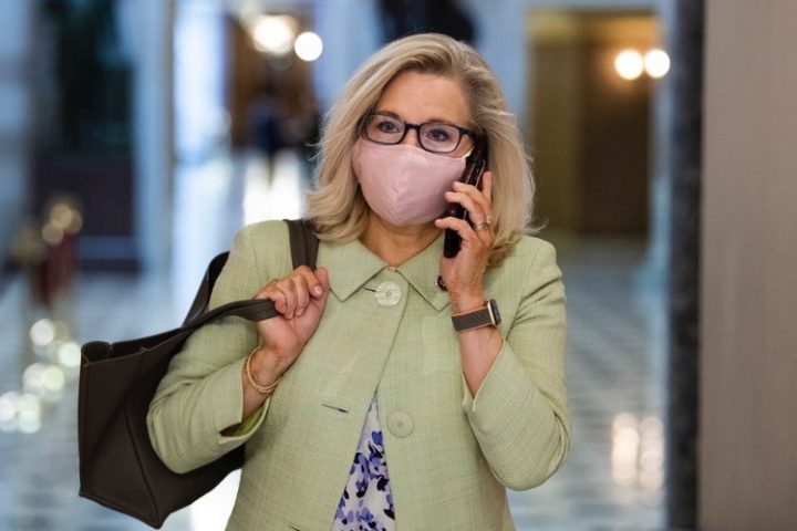 Liz Cheney, GOP RINOs Jump on Biden-Pelosi-AOC Green New Deal Bandwagon With “Carbon Capture” Scam