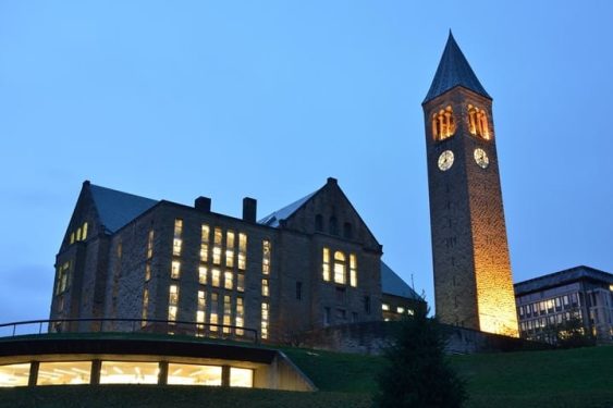 Cornell Librarian: Libraries are Predominantly White Fields