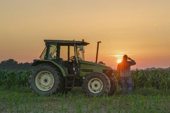 Judge Halts Biden’s Debt-relief Program for Non-white Farmers and Ranchers