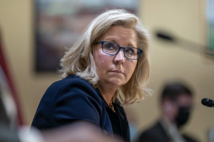 Disgraced RINO Liz Cheney Attacks Trump: “Unfit for Future Office”