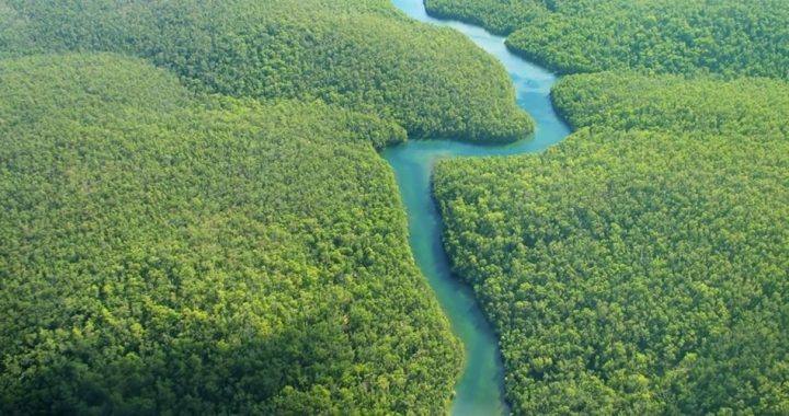 The Amazing Amazon: Deforestation Myths Corrected