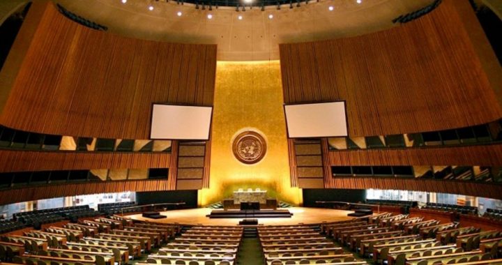 CFR Tells Americans “UN Doesn’t Want Your Guns”