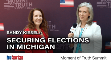 Securing Elections in Michigan