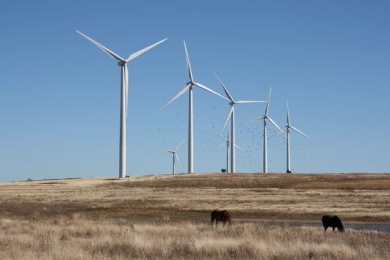 Renewable Failure: Wind Giant Enel Forced to Remove Wind Farm in Oklahoma