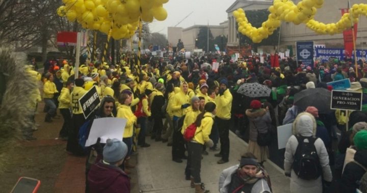 March for Life Success in Spite of Weather