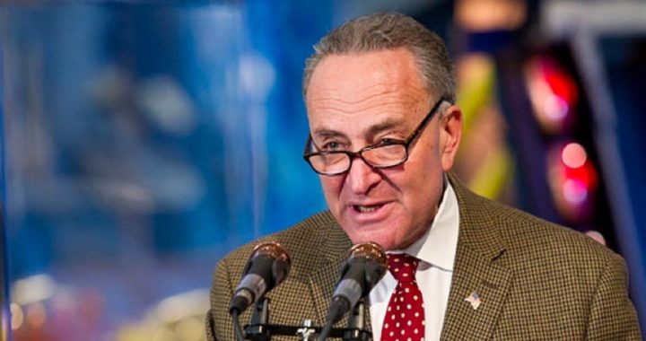 Anti-gun Senator Schumer Calls for Investigation Into iPhone-shaped Gun