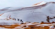 Snow Falls in the Sahara as Climate Alarmists Say Earth Will Become a Desert by 2050