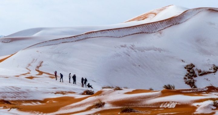 Snow Falls in the Sahara as Climate Alarmists Say Earth Will Become a Desert by 2050