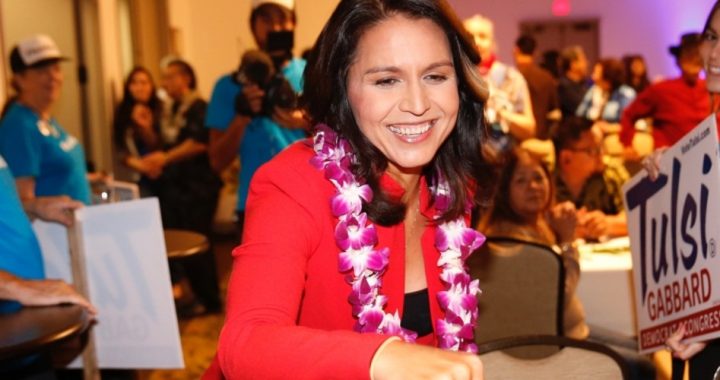 Lavender Mafia Says 2020 White House Contender Gabbard Is a Homophobe