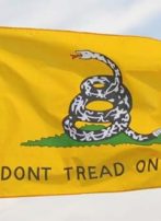 Gadsden Flags and License Plates