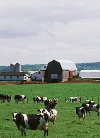 Bill Would Give Feds Control Over Family Farms