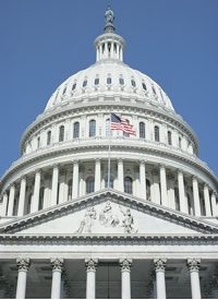 80 Percent of Congress Lacks Education in Business or Economics