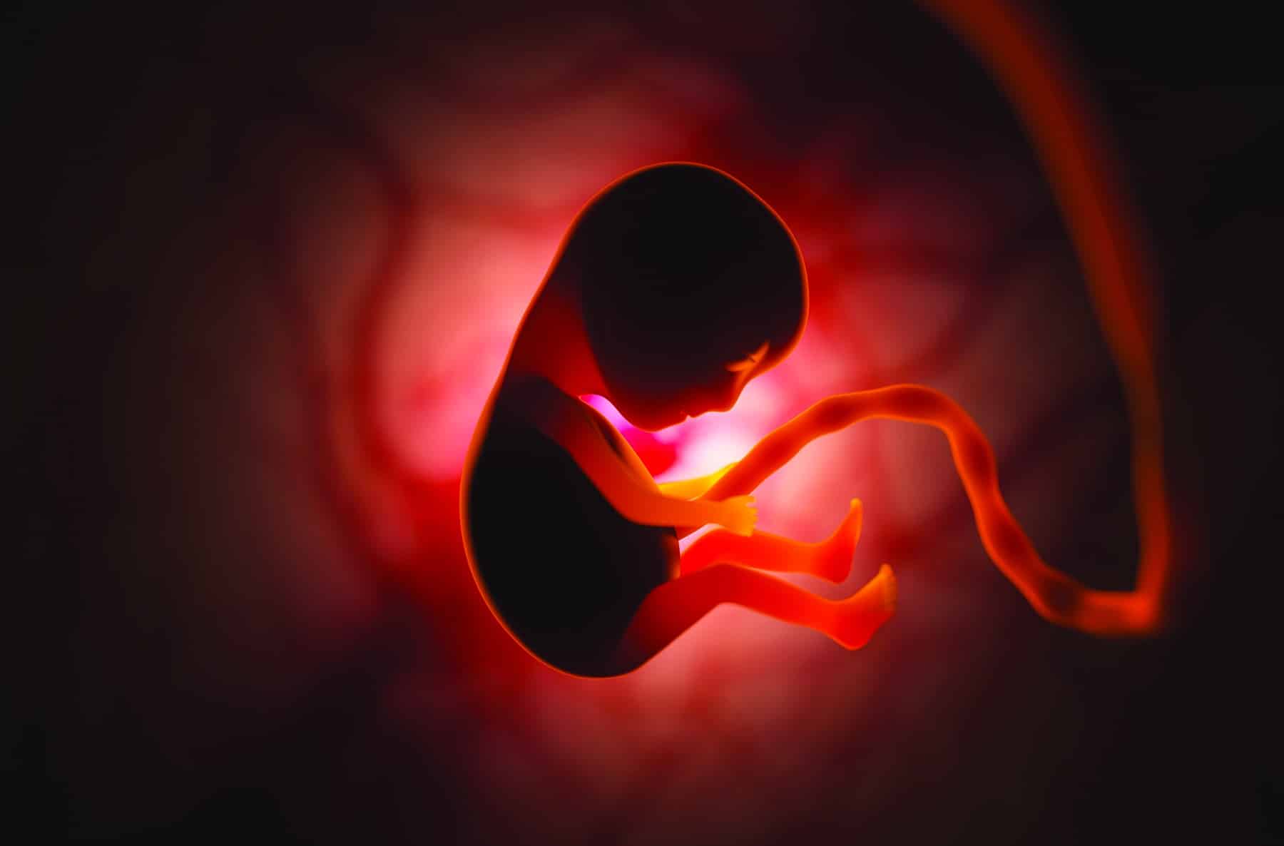 Abortion