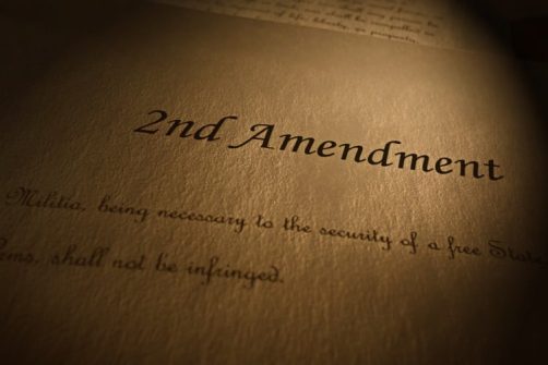 New Bill in Congress Essentially Nullifies the Second Amendment