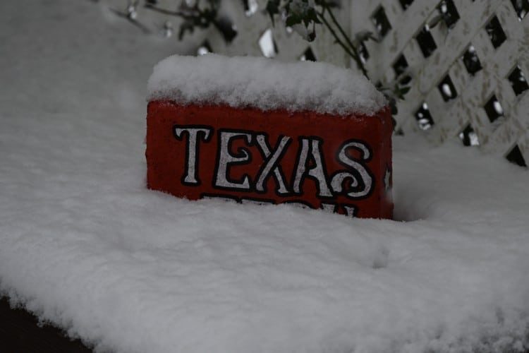 Severe Winter Weather Across Southern United States Blamed on Global Warming