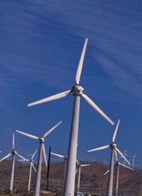 Europeans Blown Away by Govt-Funded Wind Farms