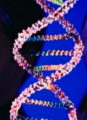 UK Police Collecting DNA … Just in Case