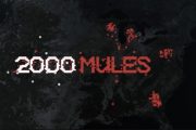 “2000 Mules” Full of Must-See Surprises