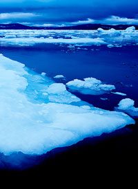 U.S. to Push for UN Global-warming Accord