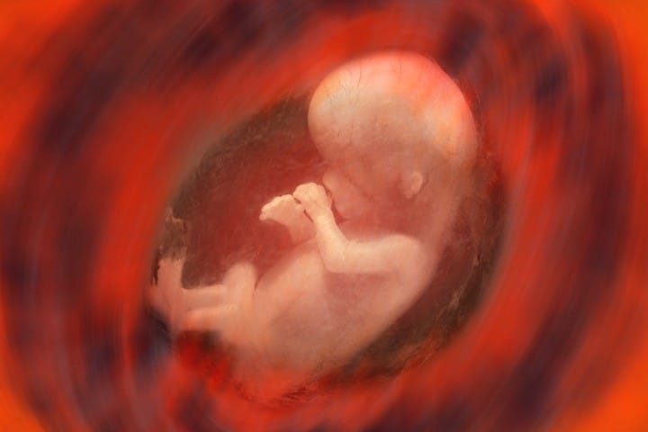 Trump’s Recent Abortion Comments Are a Teaching Moment