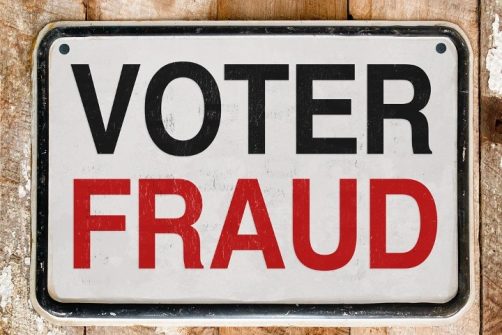 Michigan Pro-diversity Democrats: Muslims Stole Elections in Hamtramck