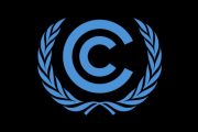 UN Climate Chief Would Like to See Smaller COPs in the Future