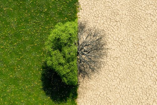 New Global-warming Propaganda Asks You to “Show Your Stripes”