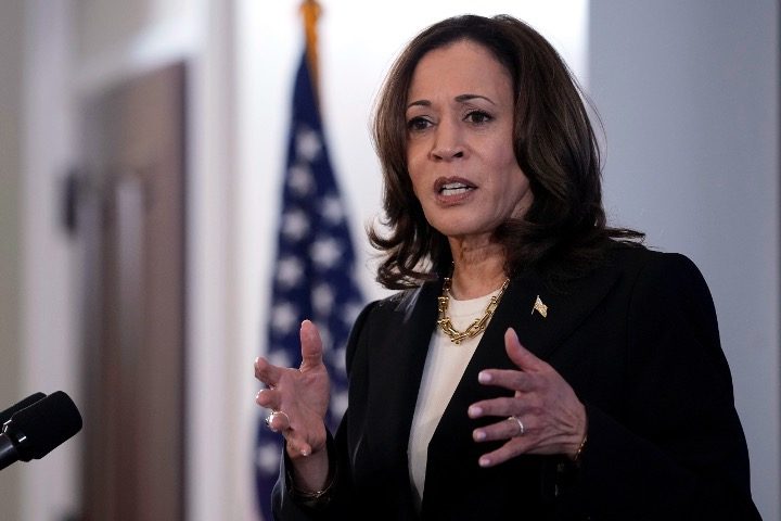 Harris Wants to Seize Guns, Ban Private Health Insurance; Said Covid Killed 220M Americans