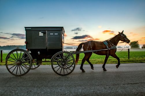 Canada Fines Amish $300K for Not Using Covid App on Smartphones They Don’t Have