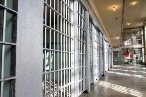 Released Female Inmate Sues Over “Transgender” Cellmate Who Sexually Assaulted Her