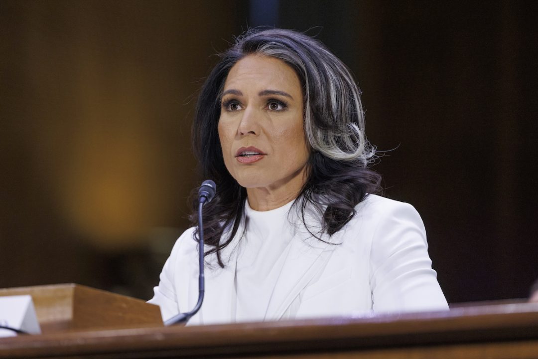 Tulsi Gabbard Confirmation Hearing Focuses on Snowden, FISA, and Russia Views