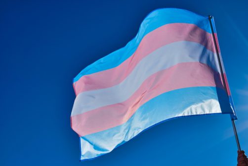 Report: Child Rapist Is Tranny Spokesman. Tranny Group Supported Child Rapist Who Murdered Victim