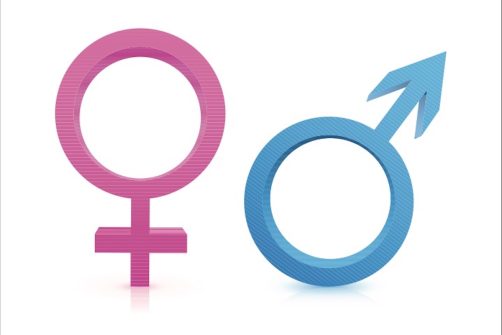 U.K. Supreme Court Rules “Man” Means “Man” and “Woman” Means “Woman”