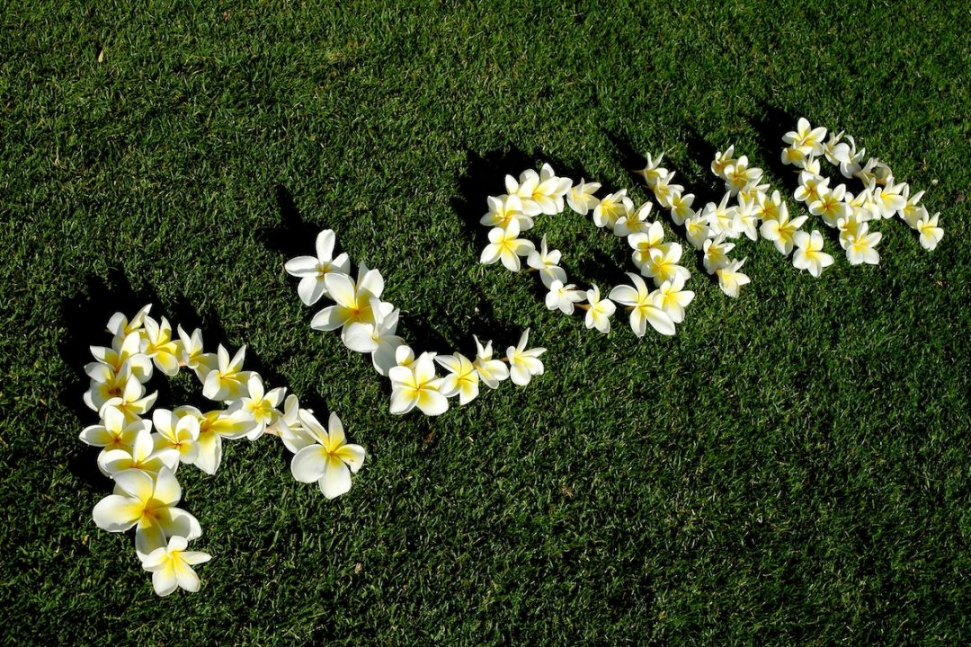 Hawaii Supreme Court: “Spirit of Aloha” Trumps 2nd Amendment — and U.S. Supreme Court