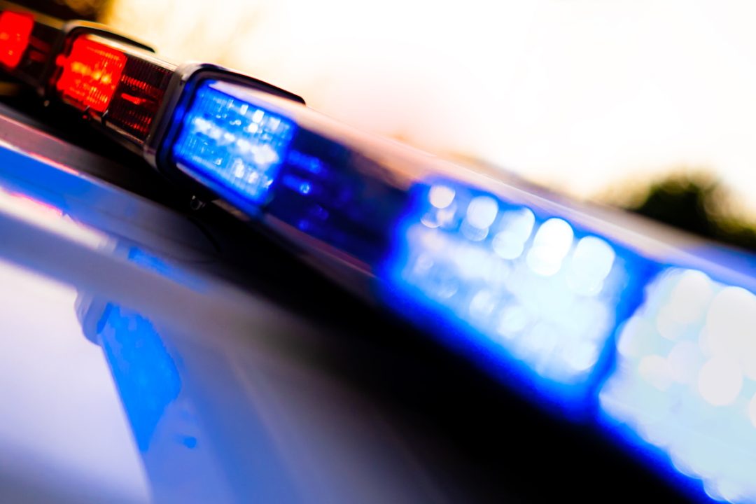 “Trans Woman” Charged in Brutal Assault; Planned to Use Roommate as Sex Slave, Threatened Murder, Cops Allege