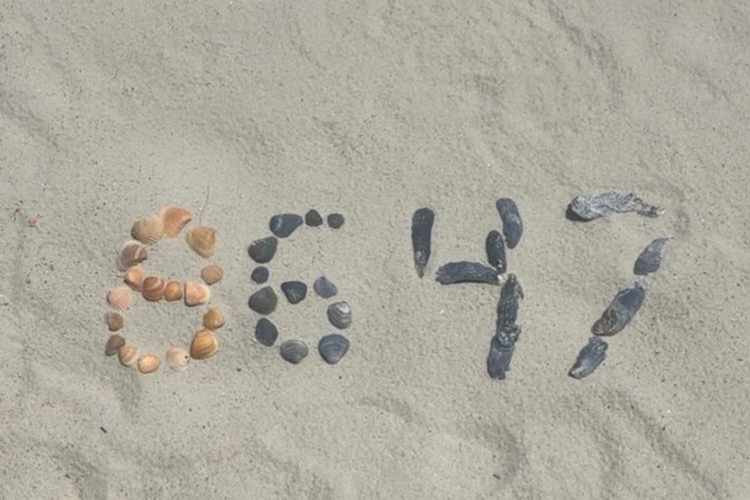 Did James Comey Send Out a Call for the Assassination of  Trump?