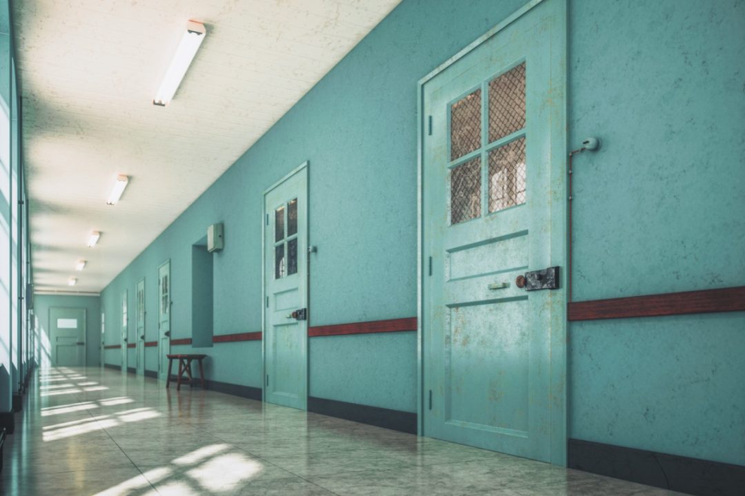 MAGA: Make Asylums Great Again? Trump Considers Reopening Mental Institutions