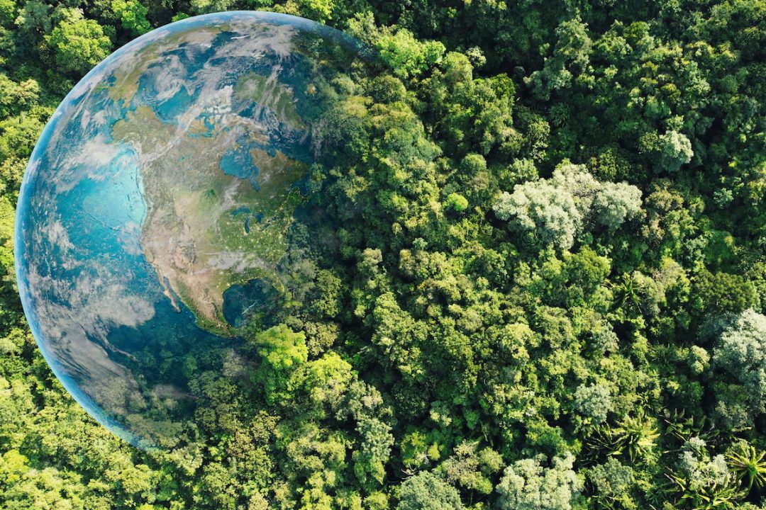 Climate Cycles and God’s Design: Why Balance Matters