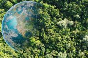 Climate Cycles and God’s Design: Why Balance Matters