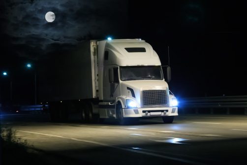 DHS: Truck-driving Indian Illegal Alien Released at Border Kills Two in Oregon