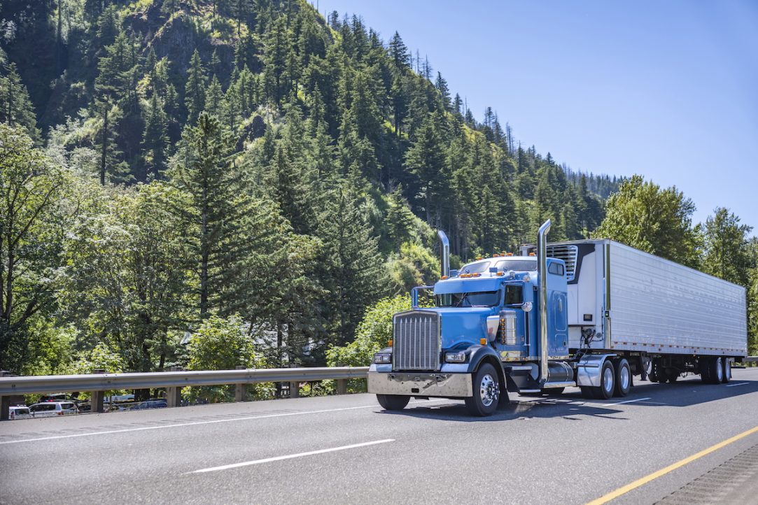 ICE Arrests More Than 100 Illegal Alien Truck Drivers in California