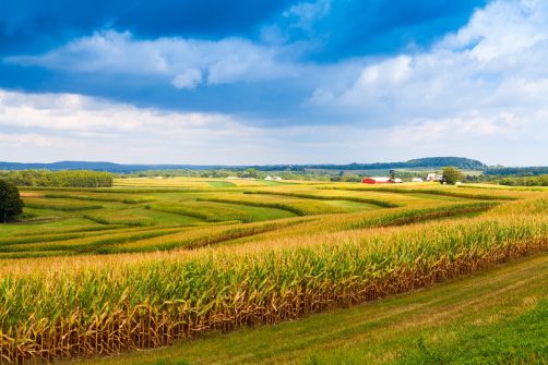 Another Stab at Carbon-capture Eminent-domain Reform in Iowa