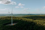 New York Demolition Exposes Wind Waste and Taxpayer Fraud