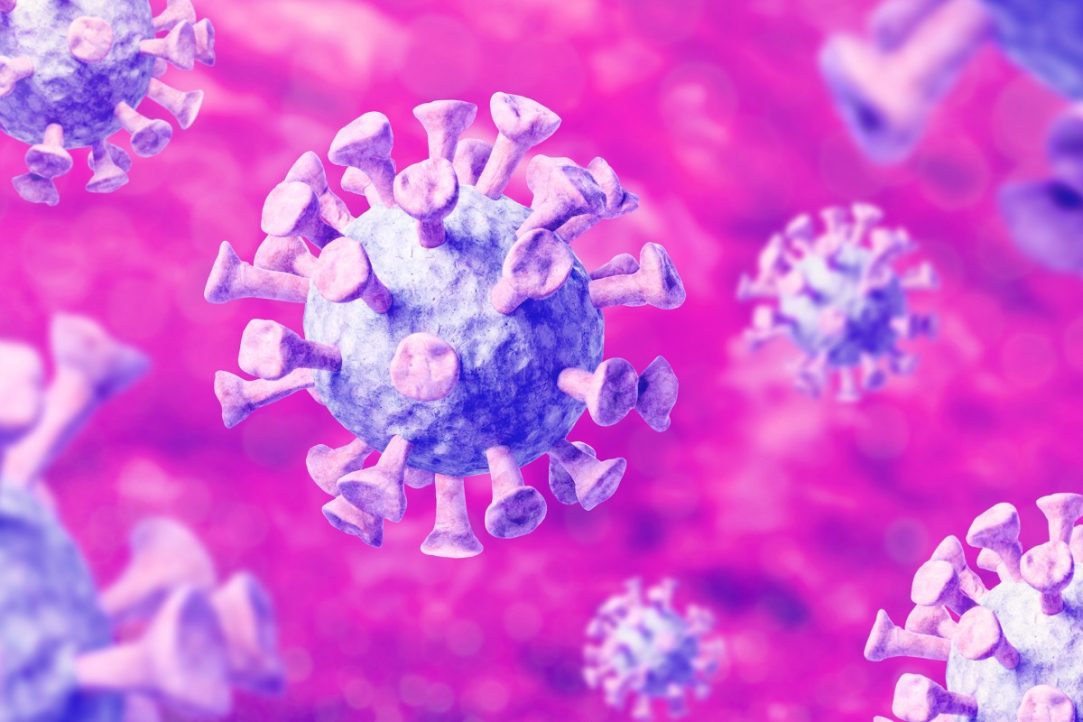 The Next Pandemic Scare? Scientists Warn of Emerging Viruses.