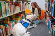 Happily Handicapped Nation: Almost 4 in 10 Stanford Students Claim “Disability”