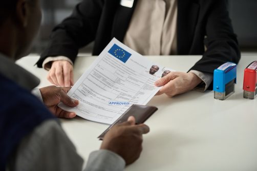 EU Officials’ Candid Admissions of Migration as Demographic Remedy
