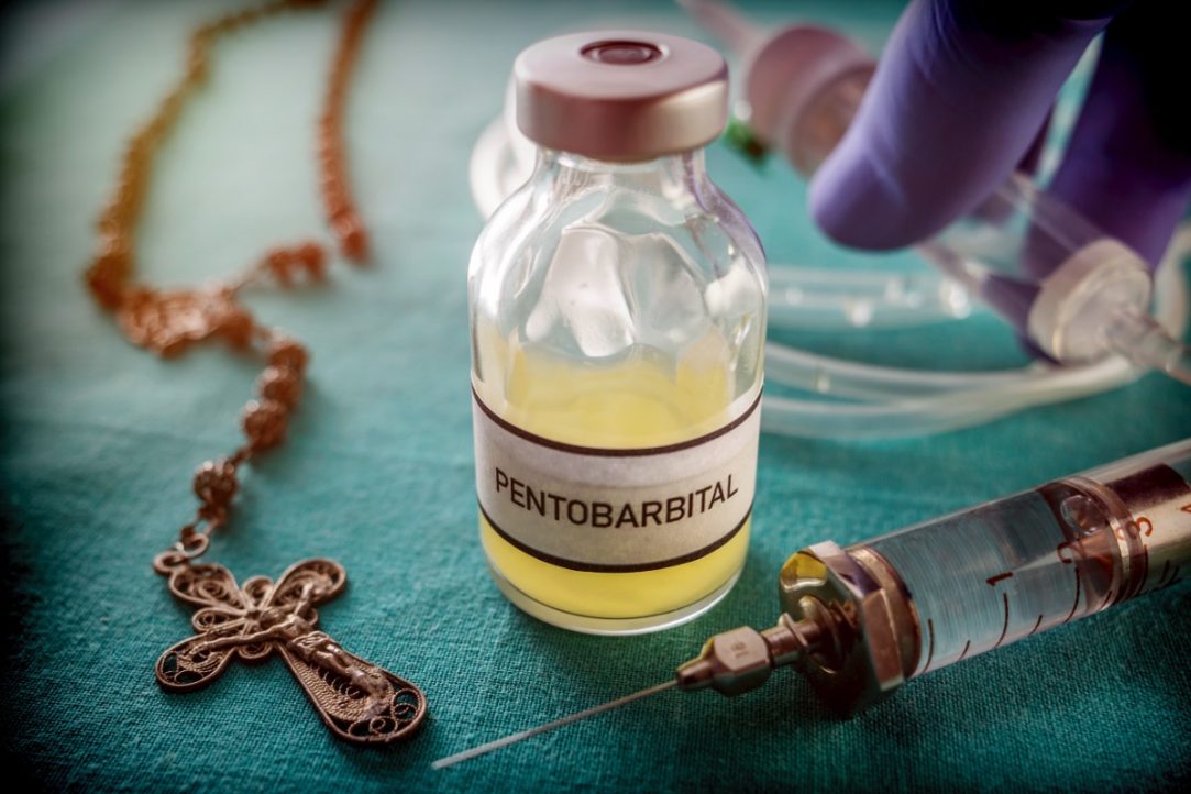 Euthanasia Claims More Humans Than Dogs in Canada
