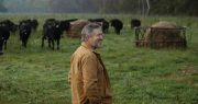 Bucking the Establishment: Thomas Massie’s Fight for Representative Government